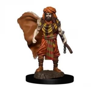 Image of D&amp;D Icons of the Realms Premium Figures (W4) Human Druid Male