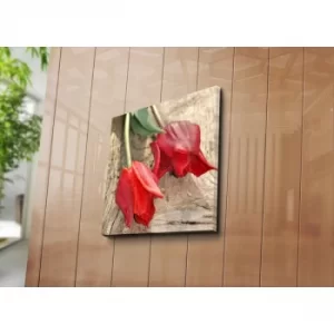 Image of 4545C-83 Multicolor Decorative Canvas Painting