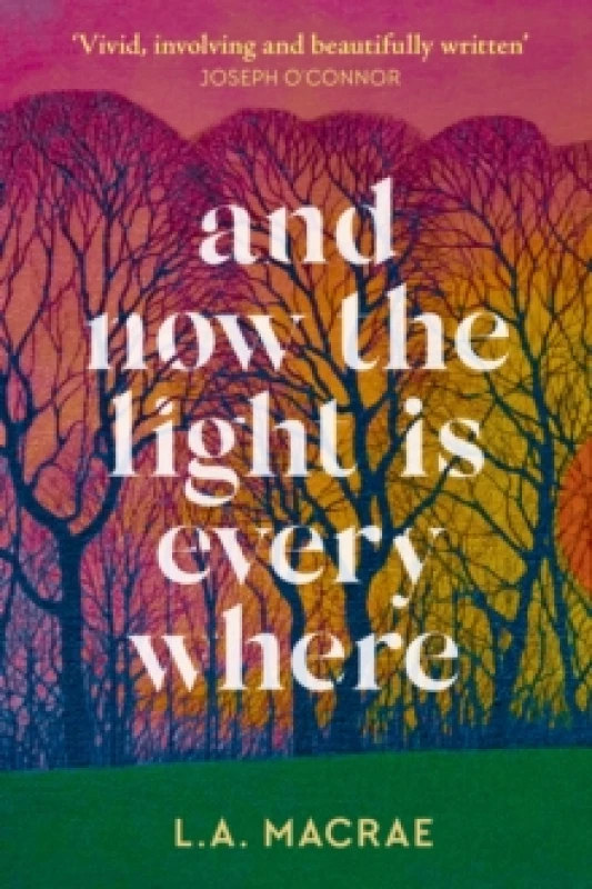 Image of And Now the Light is Everywhere : A stunning debut novel of family secrets and redemption Hardback
