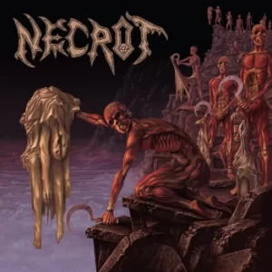 Image of Necrot Mortal CD multicolor