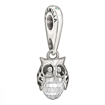 Image of Chamilia Wise Owl Sterling Silver & Crystal Bead