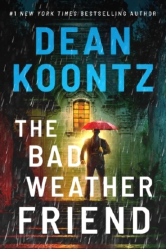 Image of The Bad Weather Friend Paperback / softback