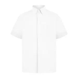 Image of Absolute Apparel Mens Short Sleeved Oxford Shirt (M) (White)