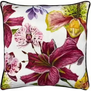 Image of Paoletti Kala Orchids Piped Edge Cushion Cover, Multi, 50 x 50 Cm