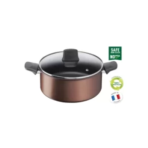 Image of Tefal Resource Induction Stewpot with Glass Lid