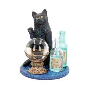 Image of The Witches Apprentice Cat Figurine