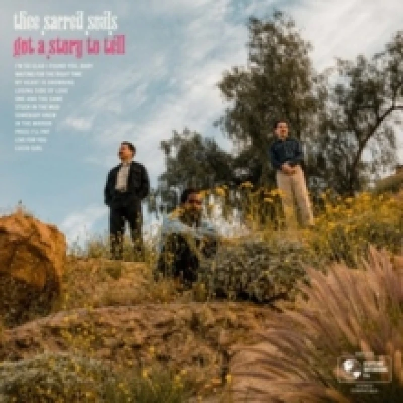 Image of Got a Story to Tell Vinyl