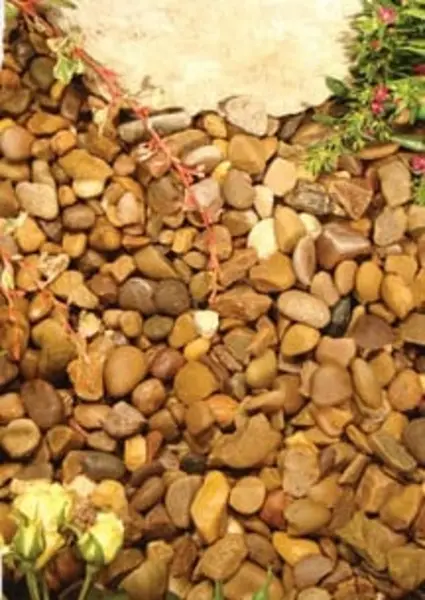 Image of Kelkay Premium Q/zite Pea Gravel 20mm - Bulk Bag