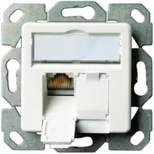Image of Telegaertner Network outlet Flush mount Insert with main panel CAT 6 2 ports Alpine white