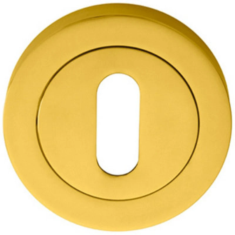 Image of Loops 50mm Lock Profile Escutcheon Concealed Fix Polished Brass Keyhole Cover Metallics unisex