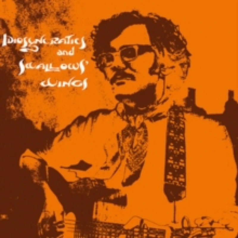 Image of Idiosyncratics and Swallows' Wings Vinyl