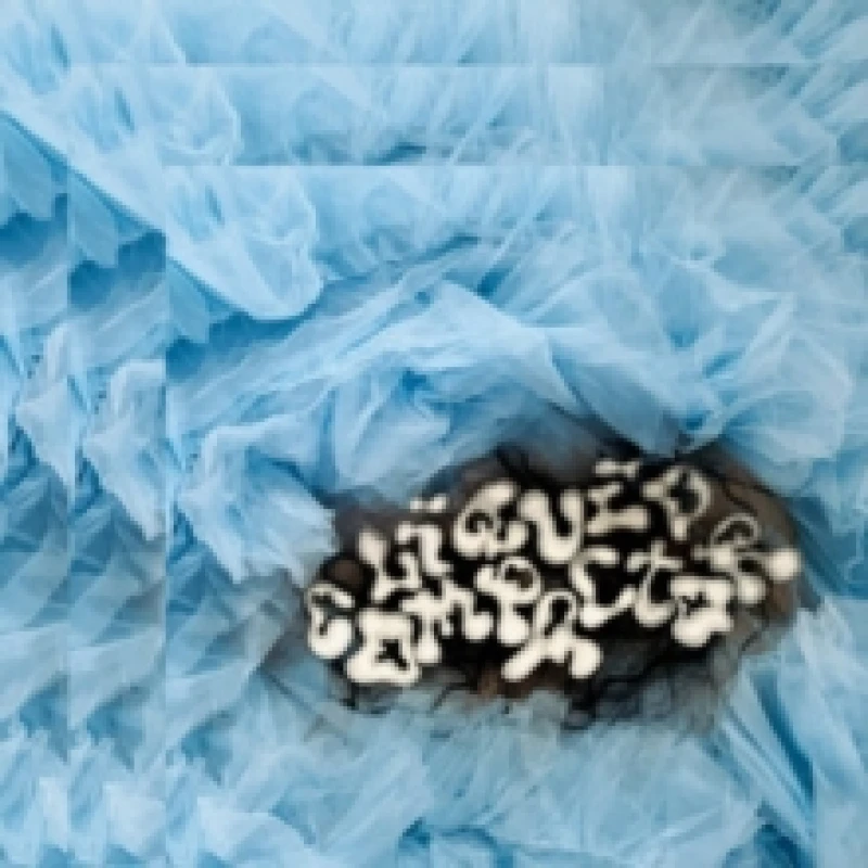 Image of Liquid compactor Vinyl