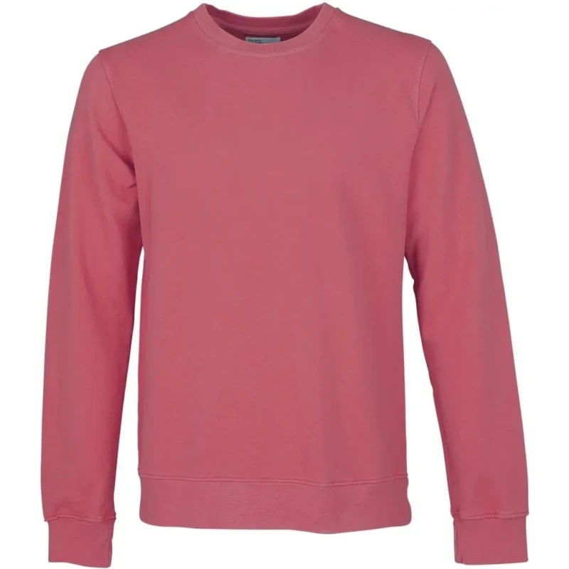 Image of Colorful Standard Sweatshirt Crewneck Colorful Standard Classic Organic raspberry pink Rose Male XL