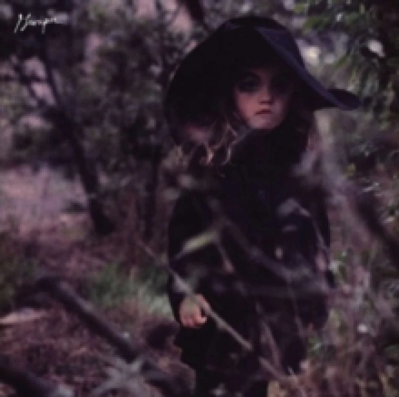 Image of Dragging a Dead Deer Up a Hill Vinyl