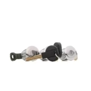 Image of NTY Cylinder Lock PEUGEOT,CITROEN EZC-CT-001 9170CW,9170G3,9170CW Lock Cylinder 9170G3