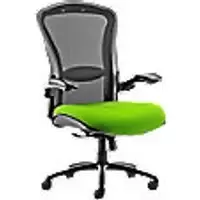 Image of Dynamic Synchro Tilt Heavy Duty Chair Height Adjustable Arms Houston Heavy Duty Black Back, Myrrh Green Seat High Back