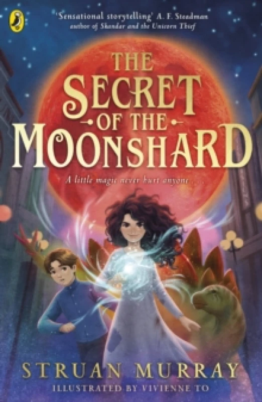 Image of The Secret of the Moonshard Paperback / softback