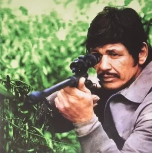 Image of Citta Violenta by Ennio Morricone Vinyl Album