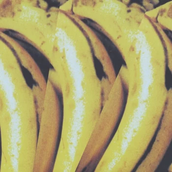 Image of The Charlatans - Between 10th & 11th Expanded Edition Vinyl