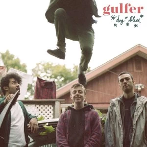 Image of Gulfer - Dog Bless Vinyl