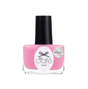 Image of Bubblegum Bellini - Mini