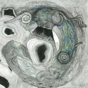 Image of Aine O'Dwyer - Gallarais Vinyl