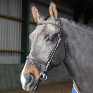Image of John Whitaker Ready to Ride Flash Bridle - Black