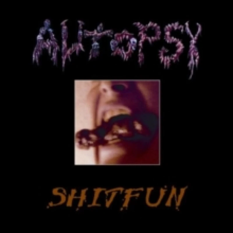 Image of Shitfun CD / Album