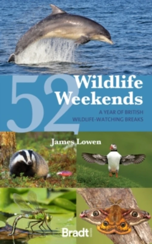 Image of 52 Wildlife Weekends : A Year of British Wildlife-Watching Breaks Paperback / softback
