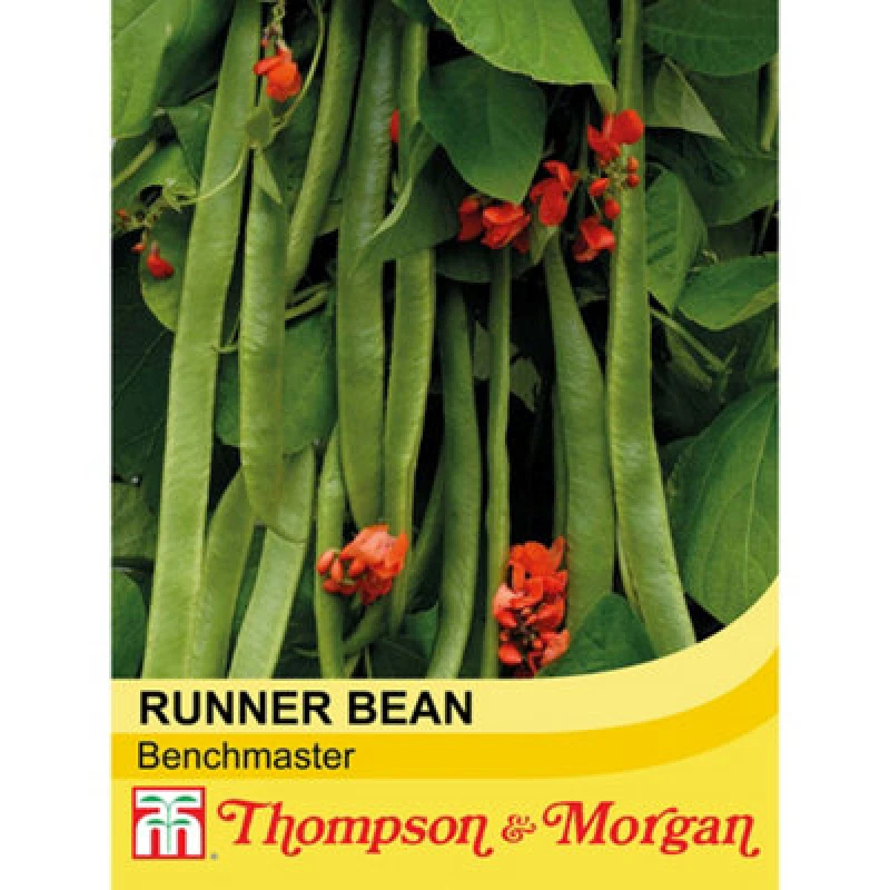 Image of Thompson & Morgan Runner Bean Benchmaster 1 Seed Packet