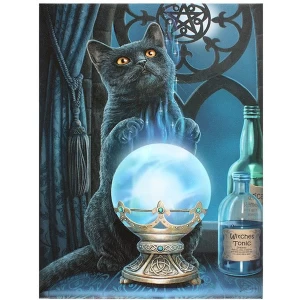 Image of Small The Witches Apprentice Canvas by Lisa Parker