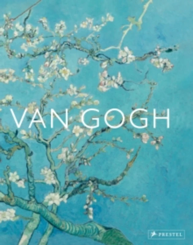 Image of Van Gogh : The Bigger Picture Hardback