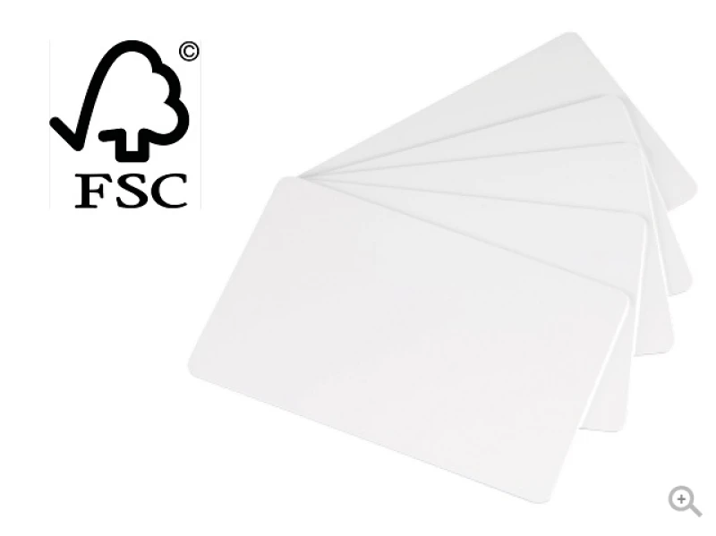 Image of Evolis C2501 card stock/construction paper 500 sheets