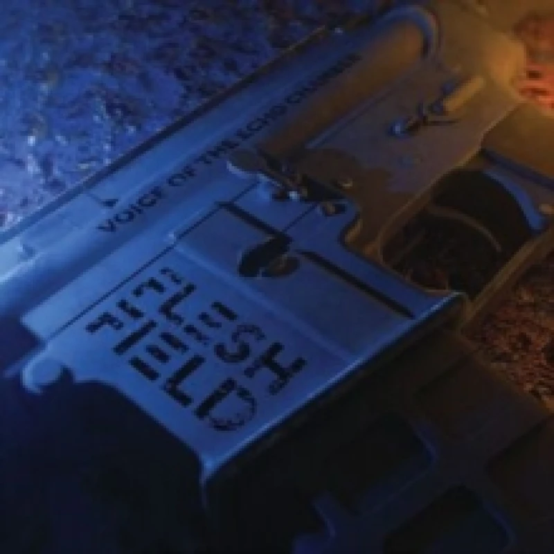 Image of Voice of the echo chamber CD / Album