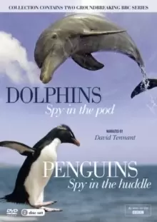 Image of Dolphins: Spy in the Pod/Penguins: Spy in the Huddle