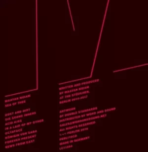 Image of Sea of Thee by Maayan Nidam Vinyl Album