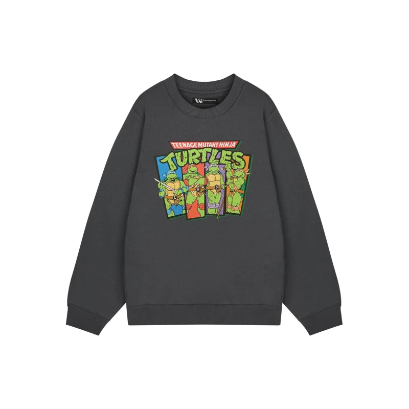 Image of Teenage Mutant Ninja Turtles Sweatshirt Grey male