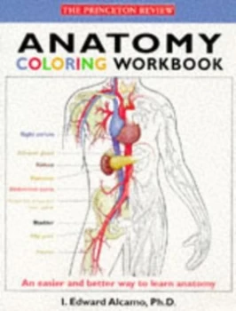 Image of Anatomy Coloring Workbook by I. Edward Alcamo and John Bergdahl Book