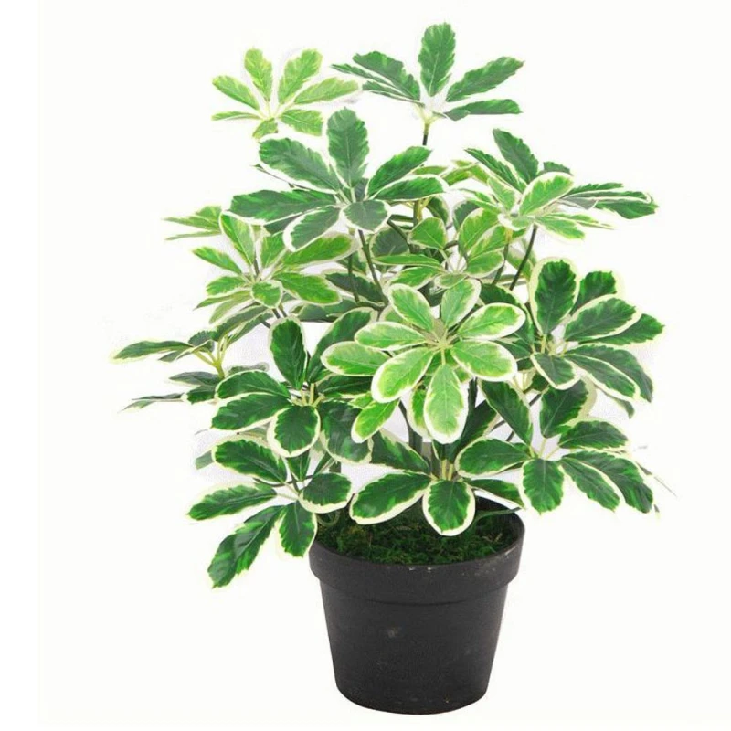 Image of Leaf 55Cm Variegated Artificial Schefflera Arboricola Plant, Green 7056-V2AZ