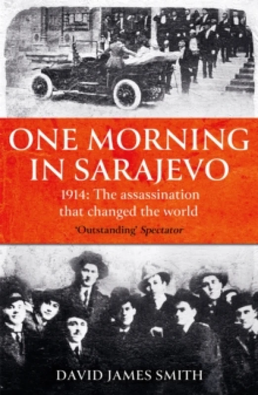 Image of One Morning In Sarajevo : The true story of the assassination that changed the world Paperback / softback