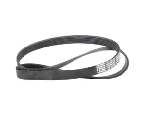 Image of Bosch V-ribbed belt OPEL,RENAULT,IVECO 1 987 948 397 504000413,95517887,95517887