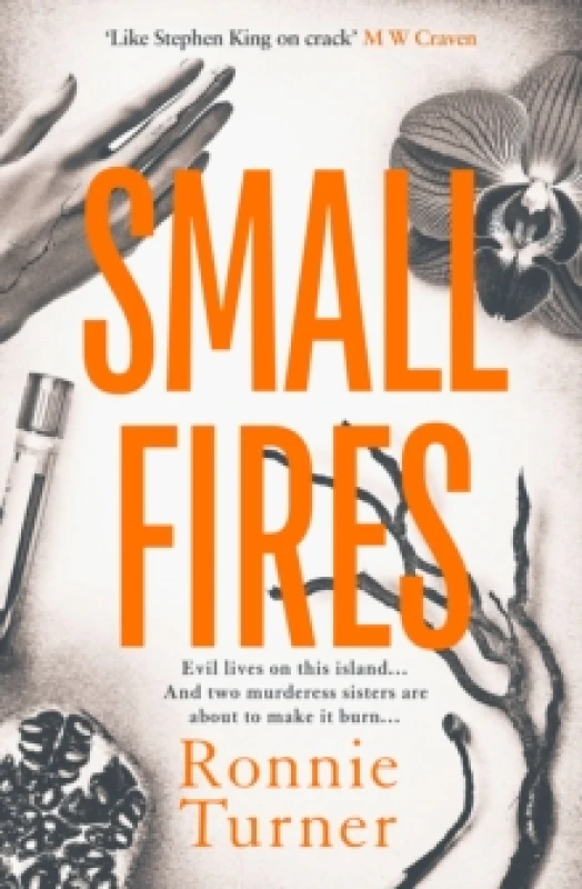 Image of Small Fires : This year's most unsettling, hypnotic contemporary gothic thriller Paperback / softback