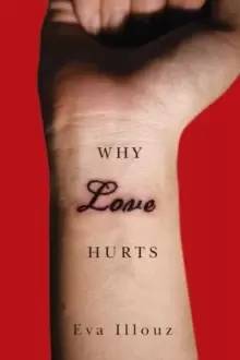 Image of Why Love Hurts : A Sociological Explanation