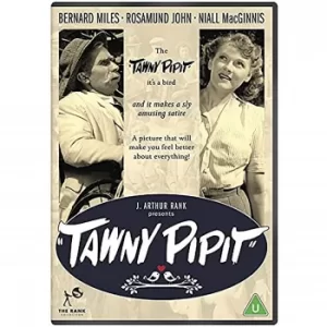 Image of Tawny Pipit