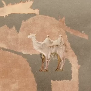 Image of Corsano, Maranha & Richard Youngs – Corsano, Maranha & Youngs Vinyl