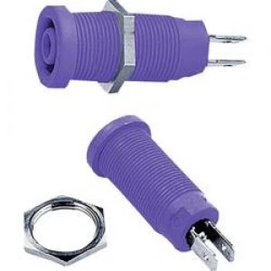 Image of Safety jack socket Socket vertical vertical Pin diameter 4mm Violet