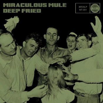 Image of Miraculous Mule - Deep Fried Vinyl