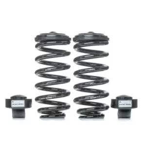 Image of Arnott Suspension Kit, coil springs MERCEDES-BENZ C-3080 2113200925,A2113200925