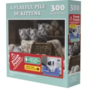 Image of Doing Things Cats Prank 300 Piece Jigsaw Puzzle
