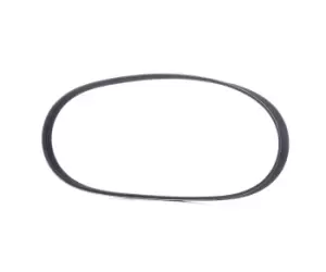 Image of RIDEX V-ribbed belt 305P0479 Serpentine belt,Auxiliary belt TOYOTA,NISSAN,DACIA,Previa / Estima (_R1_, _R2_),MICRA II (K11)